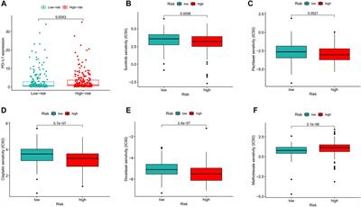 A New Ferroptosis-Related lncRNA Signature Predicts the Prognosis of Bladder Cancer Patients